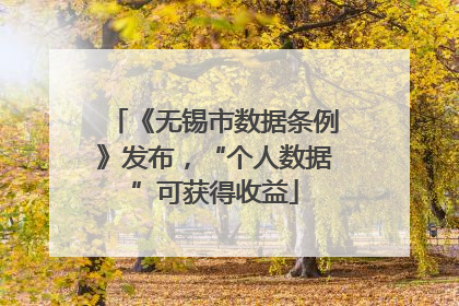 《无锡市数据条例》发布，“个人数据”可获得收益