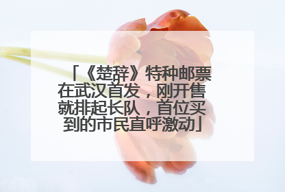 《楚辞》特种邮票在武汉首发，刚开售就排起长队，首位买到的市民直呼激动