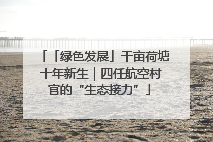 「绿色发展」千亩荷塘 十年新生｜四任航空村官的“生态接力”