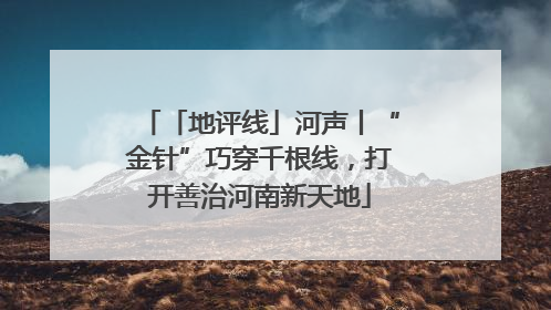 「地评线」河声丨“金针”巧穿千根线，打开善治河南新天地