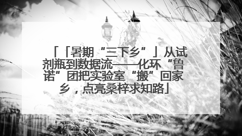 「暑期“三下乡”」从试剂瓶到数据流——化环“鲁诺”团把实验室“搬”回家乡，点亮桑梓求知路
