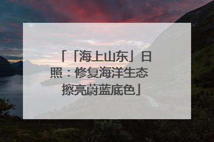 「海上山东」日照：修复海洋生态 擦亮蔚蓝底色