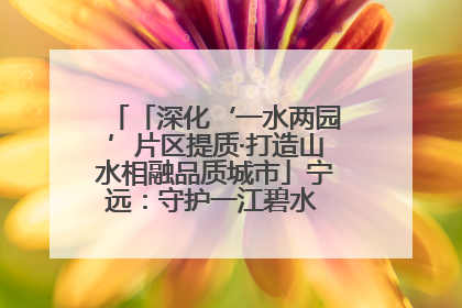 「深化‘一水两园’片区提质·打造山水相融品质城市」宁远：守护一江碧水 共享幸福河湖
