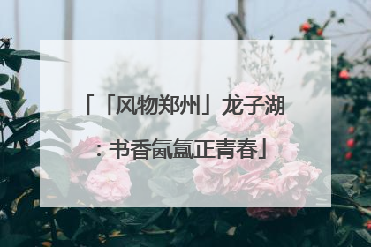「风物郑州」龙子湖：书香氤氲正青春