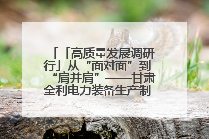 「高质量发展调研行」从“面对面”到“肩并肩”——甘肃全利电力装备生产制造项目一线见闻