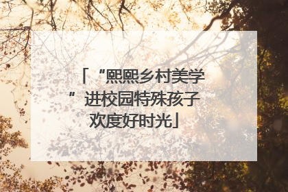 “熙熙乡村美学”进校园特殊孩子欢度好时光