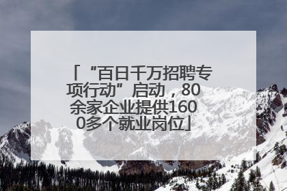 “百日千万招聘专项行动”启动，80余家企业提供1600多个就业岗位