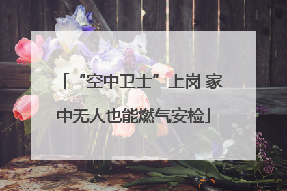 “空中卫士”上岗 家中无人也能燃气安检