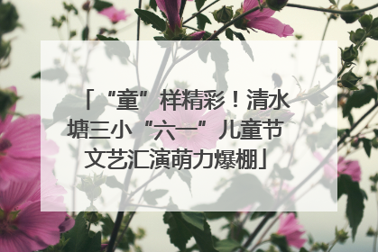 “童”样精彩！清水塘三小“六一”儿童节文艺汇演萌力爆棚