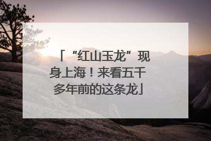 “红山玉龙”现身上海！来看五千多年前的这条龙