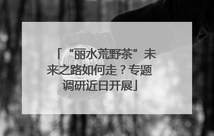 “丽水荒野茶”未来之路如何走？专题调研近日开展