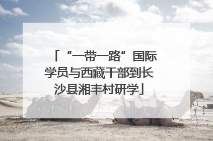 “一带一路”国际学员与西藏干部到长沙县湘丰村研学
