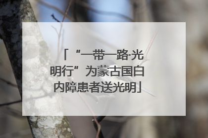 “一带一路·光明行”为蒙古国白内障患者送光明