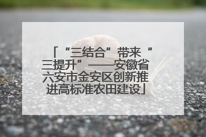 “三结合”带来“三提升”——安徽省六安市金安区创新推进高标准农田建设