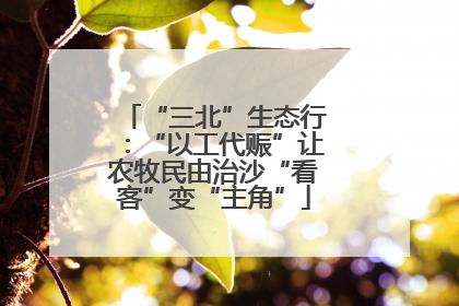 “三北”生态行：“以工代赈”让农牧民由治沙“看客”变“主角”