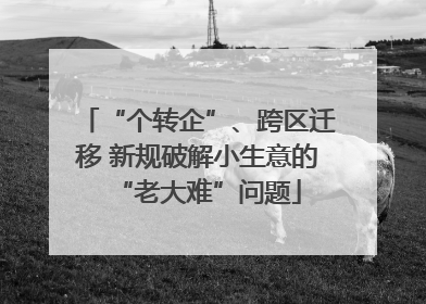 “个转企”、跨区迁移 新规破解小生意的“老大难”问题