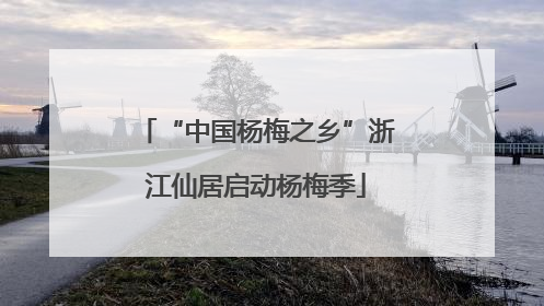 “中国杨梅之乡”浙江仙居启动杨梅季