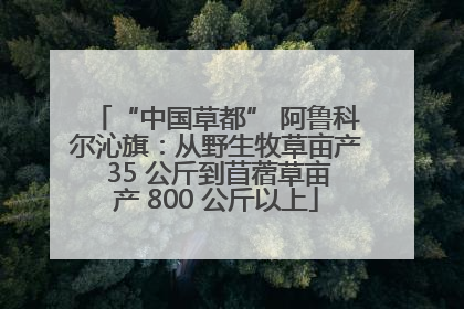 “中国草都” 阿鲁科尔沁旗：从野生牧草亩产 35 公斤到苜蓿草亩产 800 公斤以上