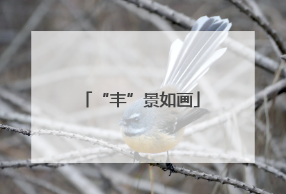 “丰”景如画