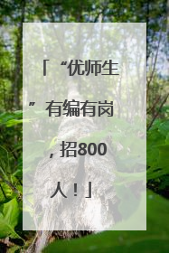 “优师生”有编有岗，招800人！