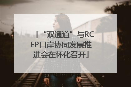 “双通道”与RCEP口岸协同发展推进会在怀化召开