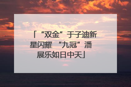 “双金”于子迪新星闪耀 “九冠”潘展乐如日中天