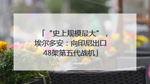 “史上规模最大”，埃尔多安：向印尼出口48架第五代战机