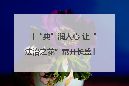 “典”润人心 让“法治之花”常开长盛