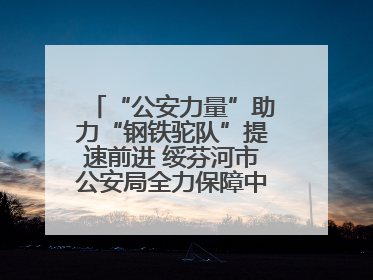 “公安力量”助力“钢铁驼队”提速前进 绥芬河市公安局全力保障中欧班列“东通道”绥芬河隧道贯通