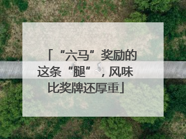 “六马”奖励的这条“腿”，风味比奖牌还厚重