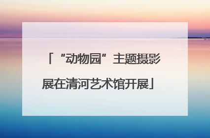 “动物园”主题摄影展在清河艺术馆开展