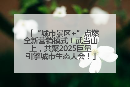 “城市景区+”点燃全新营销模式！武当山上，共聚2025巨量引擎城市生态大会！