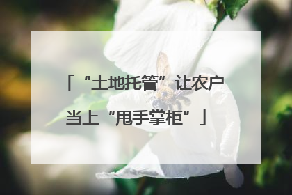 “土地托管”让农户当上“甩手掌柜”