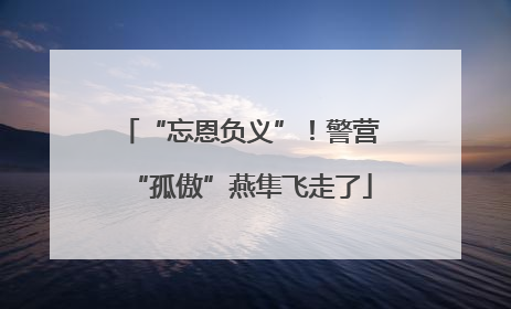 “忘恩负义”！警营“孤傲”燕隼飞走了