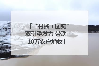 “村播＋团购”双引擎发力 带动10万农户增收