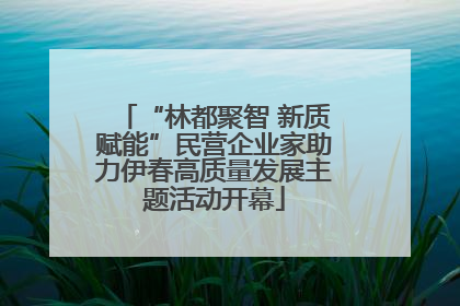 “林都聚智 新质赋能”民营企业家助力伊春高质量发展主题活动开幕
