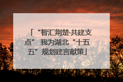 “智汇荆楚·共建支点” 我为湖北“十五五”规划建言献策