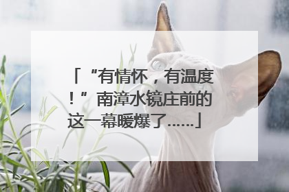 “有情怀，有温度！”南漳水镜庄前的这一幕暖爆了……