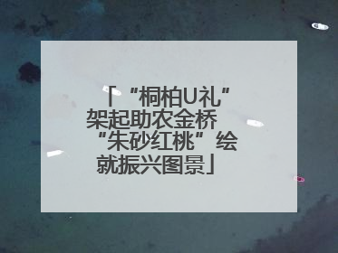 “桐柏U礼”架起助农金桥 “朱砂红桃”绘就振兴图景