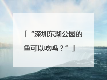 “深圳东湖公园的鱼可以吃吗？”
