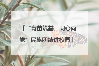 “育苗筑基、同心向党”民族团结进校园