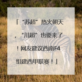 “苏超”热火朝天，“川超”也要来了！网友建议西南F4组建西甲联赛！