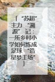 “苏超”主力 “溯源” 记：一所乡村小学如何炼成足球 “造星梦工场”