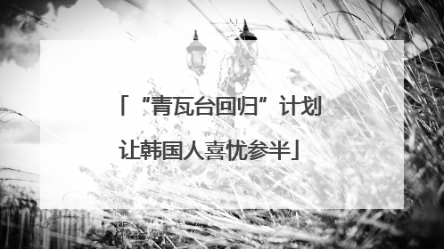 “青瓦台回归”计划让韩国人喜忧参半