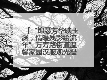 “锦瑟芳华映玉渊，情暖残影绘流年”万寿路街道温馨家园汉服观光摄影实践活动