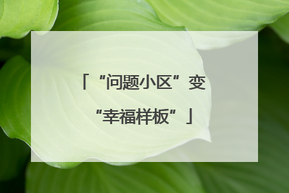 “问题小区”变“幸福样板”