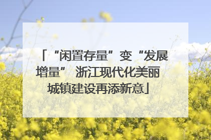 “闲置存量”变“发展增量” 浙江现代化美丽城镇建设再添新意