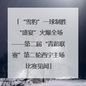 “雪豹”一球制胜 “盛宴”火爆全场——第二届“青超联赛”第二轮西宁主场比赛见闻