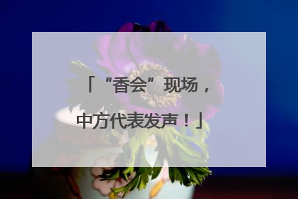 “香会”现场，中方代表发声！