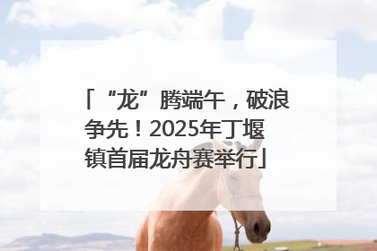 “龙”腾端午，破浪争先！2025年丁堰镇首届龙舟赛举行